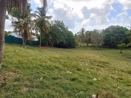 terrain à vendre le gosier 968m2 215 000€