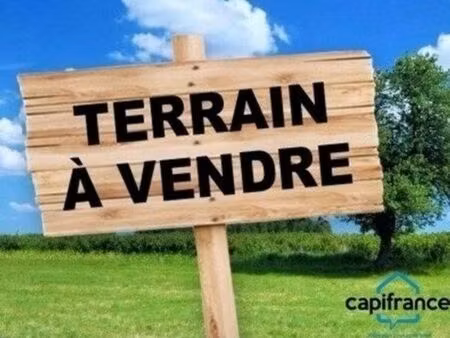 vente terrain 4500 m² tavaco (20167)