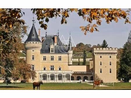 château à vendre à cornod