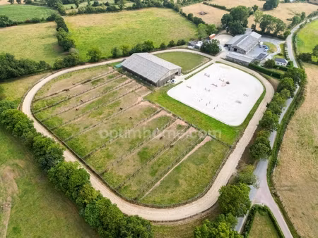 propriété équestre de prestige sur près de 5 hectares