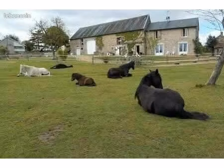 propriété équestre aux portes du morvan
