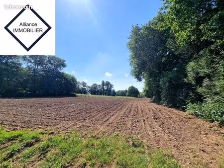 terrain 5090 m² guitté