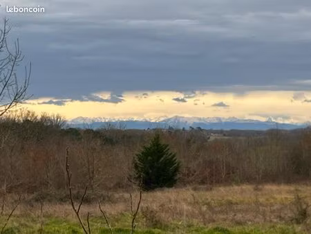 ? terrain 1 ha à louer pour pâturage chevaux – proche nogaro (32110)