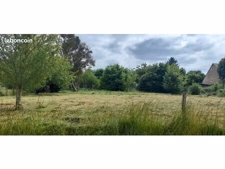 terrain secteur aillant sur tholon