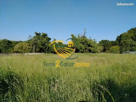 terrain 971 m² allogny
