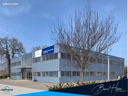 local bureaux 1 203 m²