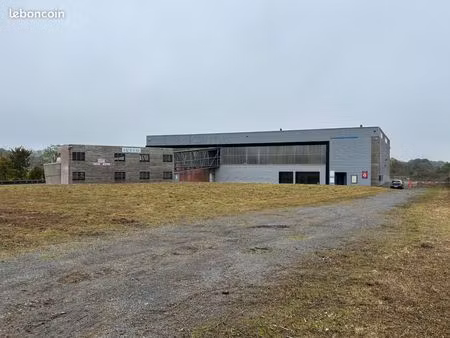 location surface d'activité 200 à 1000 m2 