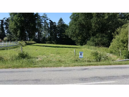 terrain à vendre à saint-martin-sur-oust (56200) - morbihan