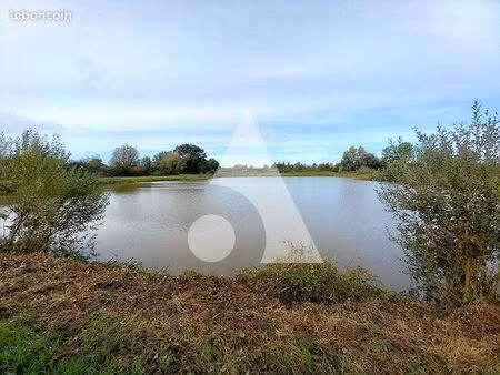 terrain 6002 m² bachant