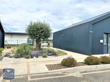 local professionnel à louer - montauban (82) - 1 000€