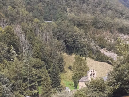 appartement t3/4 rénové.