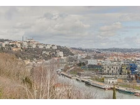 maison de luxe à vendre dans le quartier le confluent