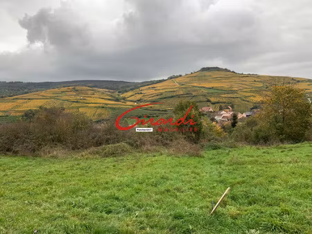 magnifique terrain avec vue exptionnelle sur le vignoble de