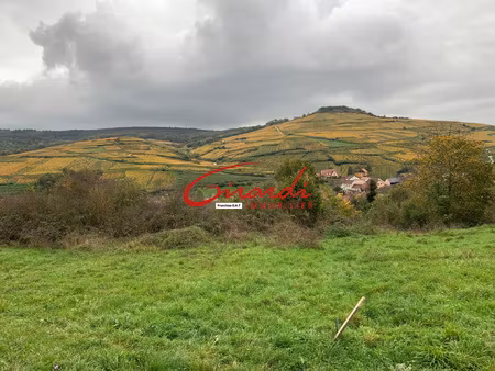 magnifique terrain avec vue sur le vignoble de 587 m2 entier