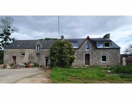 longeres a renover et hangar