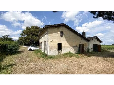 vente terrain 25000 m² saint-sulpice-de-faleyrens (33330)