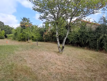 plein centre de ste flaive