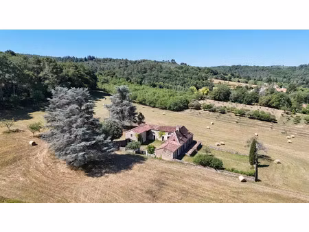 vente maison 13 pièces 270 m² à le buisson-de-cadouin (24480)  549 000 €