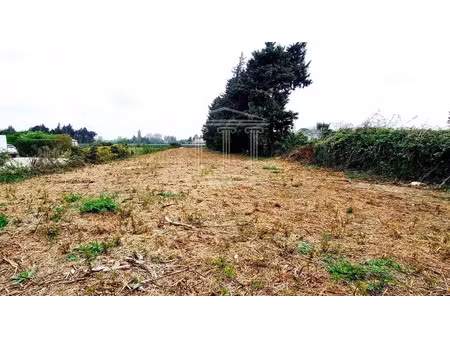 vente terrain 1623 m² jonquerettes (84450)
