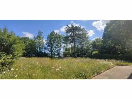 vente terrain à orvault (44700) : à vendre / 540m² orvault