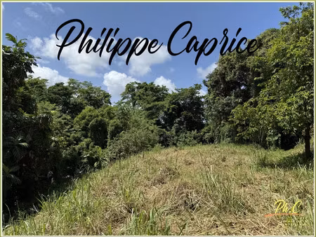 vente terrain 1015 m² à marin (97290)  120 000 €