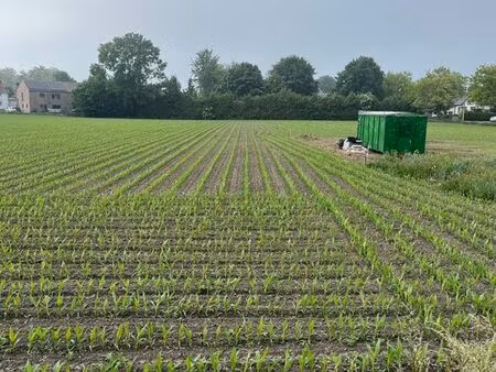 terrain à vendre à boussu