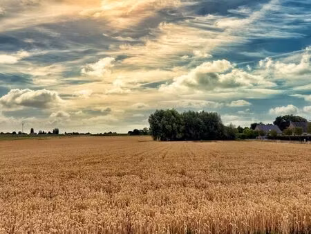 terrain en zone constructible.