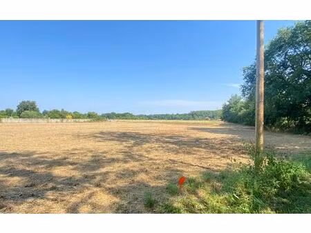 terrain albias m² t- à vendre  49 000 €