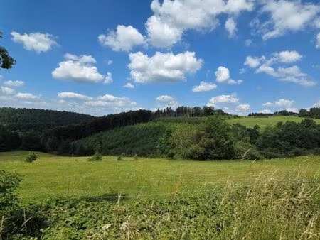 terrain à vendre à erezée € 65.000 (l8ani) - ard'immo | zimmo