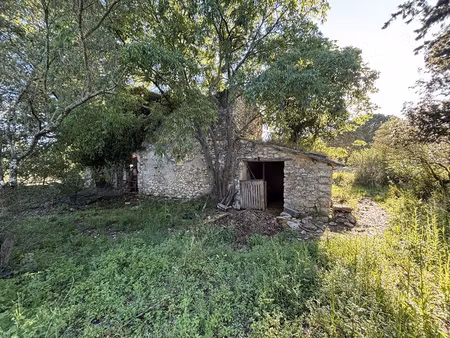 terrain agricole de 16000m2 avec un mas à rénover