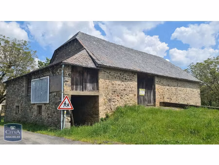 maison à vendre 0 pièce 300 m² - ladignac-sur-rondelles (19) - 55 000€