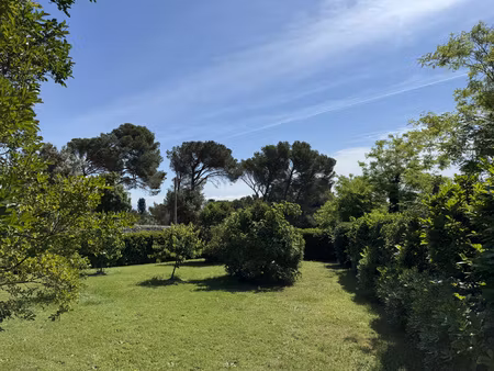 terrain arboré