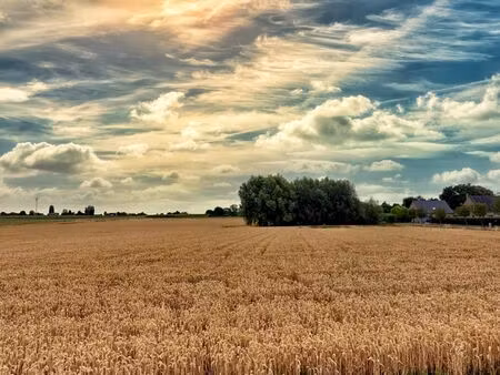 terrain à bâtir à vendre à rue du peuple eugies (vbc77752)
