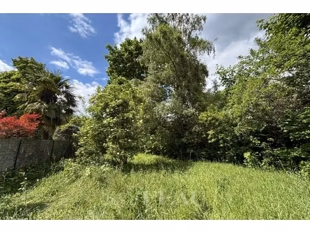 annonce terrain à vendre