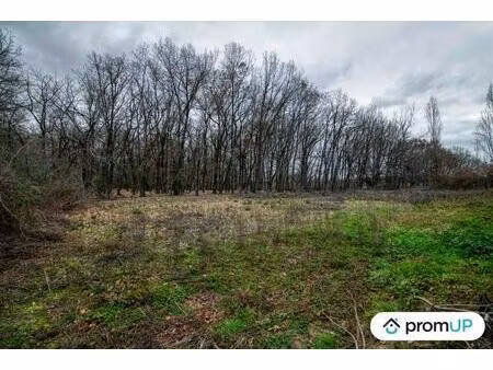 vente terrain 2689 m² dieupentale (82170)