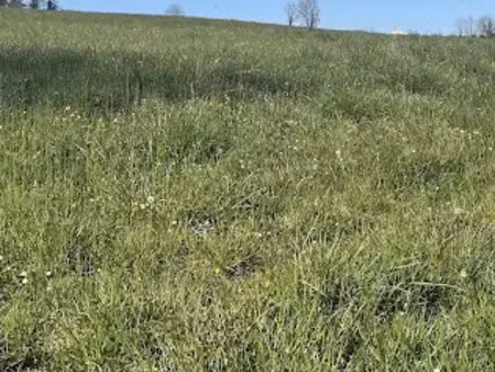 vente terrain 500 m² à sauveterre-de-guyenne (33540)  50 000 €