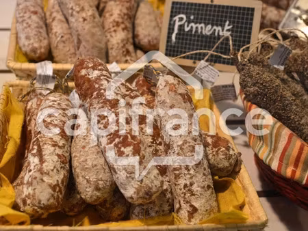 vente locaux professionnels 1 pièce 342 m² à septeme (38780)  350 000 €