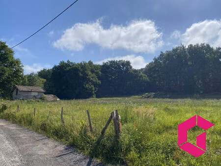 terrain d'un hectare en partie contsrcutible.