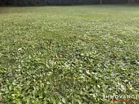 terrain de 870 m2 à baillargues