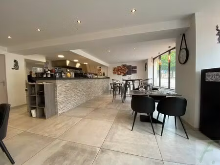 vente commerce 250 m² culoz-béon (01150)