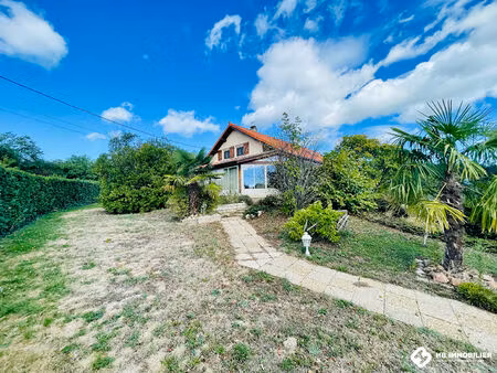 achat maison 11 pièces 196m² st haon le vieux 42370