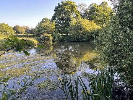 vente terrain 6440 m2 à trévé