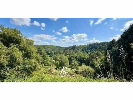 maison avec jardin quimperle (29)