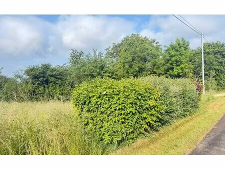 terrain brabant-le-roi m² t- à vendre  18 000 €