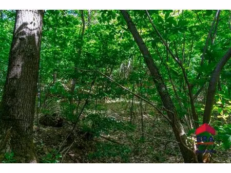 terrain forestier à vendre tielt- winge 2 7 ha