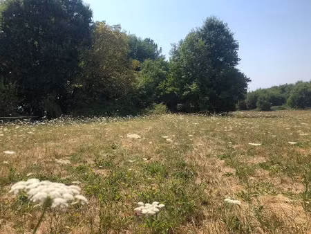 vente terrain 1762 m² à saint-front-de-pradoux (24400)  23 500 €