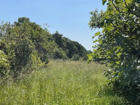 vente terrain 1322 m² à verdille (16140)  13 000 €