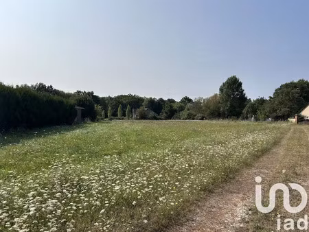 vente terrain 2744 m² à la marolle-en-sologne (41210)  25 000 €