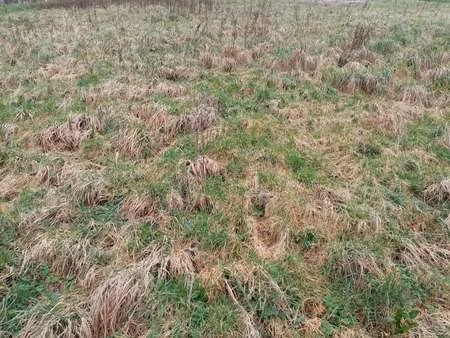 vente terrain à normanville (76640) : à vendre / 704m² normanville