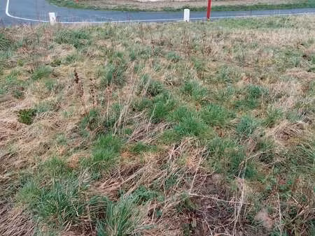 vente terrain à ourville-en-caux (76450) : à vendre / 637m² ourville-en-caux